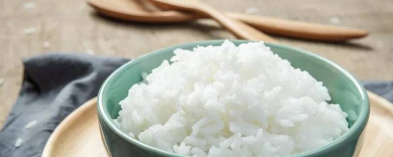 米饭成分 一碗米饭成分