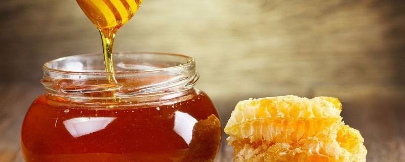 野生蜜蜂几月份可以取蜜 野蜜蜂什么时候取蜜
