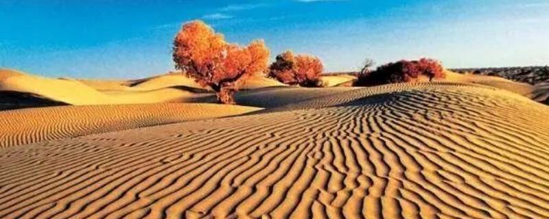 塔克拉玛干沙漠成因 塔克拉玛干沙漠成因地理环境整体性