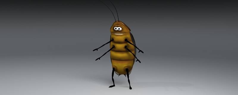 蟑螂为何会出现在卧室 蟑螂为什么会进卧室