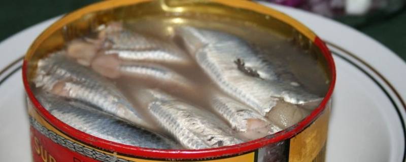 鲱鱼罐头是什么味道（鲱鱼罐头是啥味道）