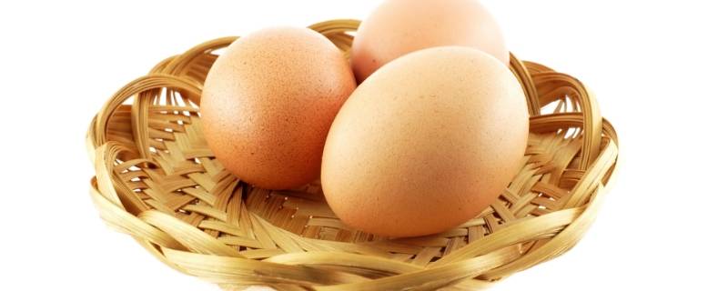 黄天鹅鸡蛋与鸡蛋有什么区别 鸡蛋黄和鹅蛋黄的区别