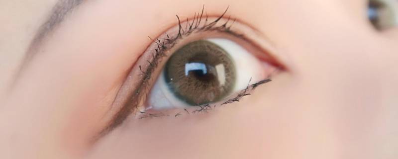 亚洲人瞳孔颜色有几种 东亚人瞳孔颜色