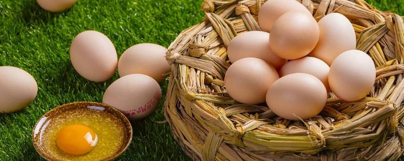怎么保护鸡蛋（守护蛋宝宝怎么保护鸡蛋）