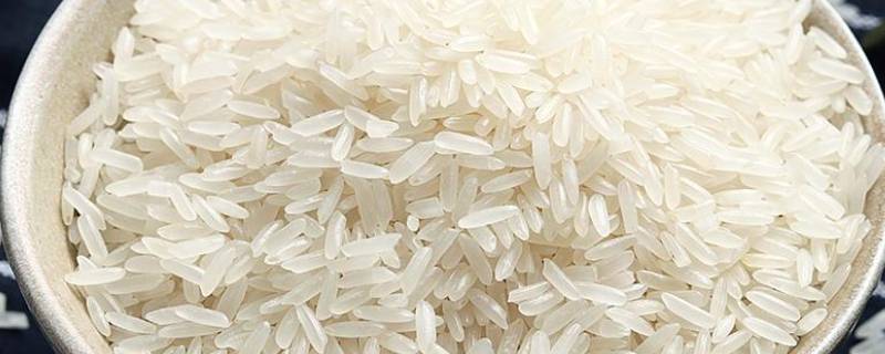 灿米和粳米有什么区别（粳米水稻灿米都有什么区别）