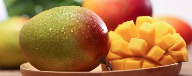 芒果可以放在冰箱里吗 芒果可以放冰箱里面吗?
