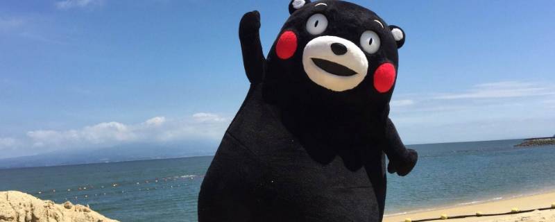 日本熊玩偶叫什么（日本熊猫玩偶）