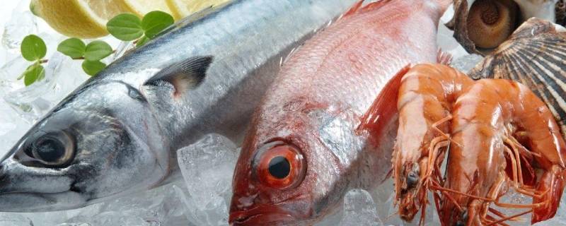 新鲜鱼放冰箱冷藏可以放多久 新鲜鱼放冰箱急冻可以放多久