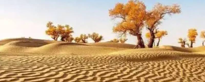 塔克拉玛干沙漠在哪 塔克拉玛干沙漠在哪个省