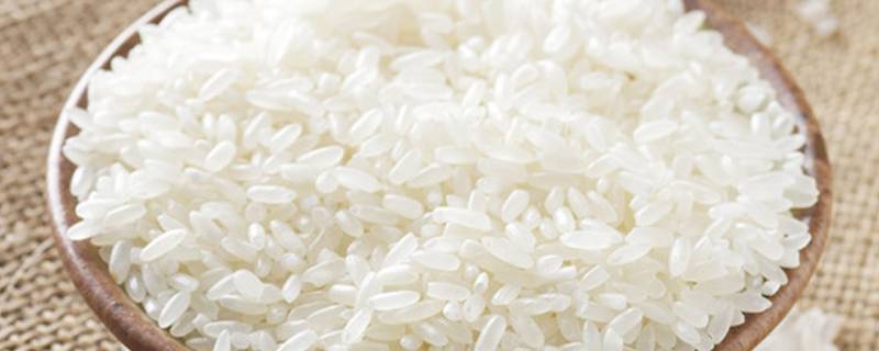 软米是什么米 泰香软米是什么米