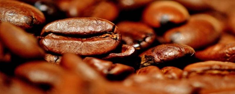 咖啡豆能直接吃吗 咖啡豆不能吃吗