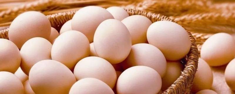 鸡蛋室温下可以放多久 鸡蛋室温能放多久