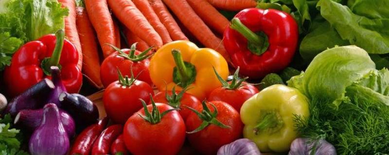 含钙量高的蔬菜有哪些 含钙比较高的蔬菜有哪些