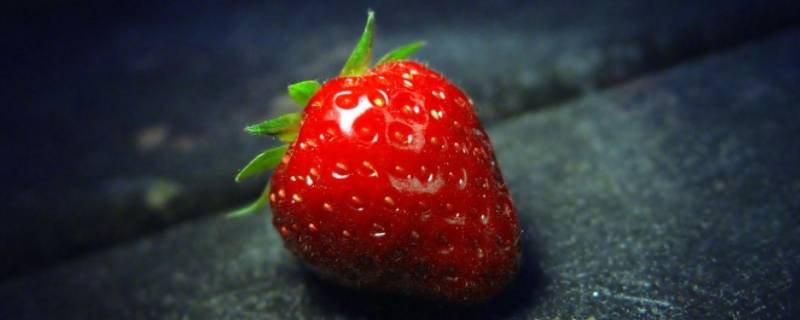 草莓的生长习性（草莓的生长气候）