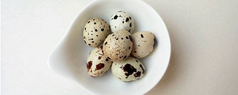 生鹌鹑蛋能放多久 鹌鹑蛋生的可以放多久