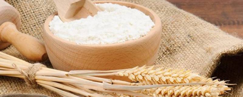 家用小麦粉是低筋还是高筋 小麦粉高筋和低筋的区别