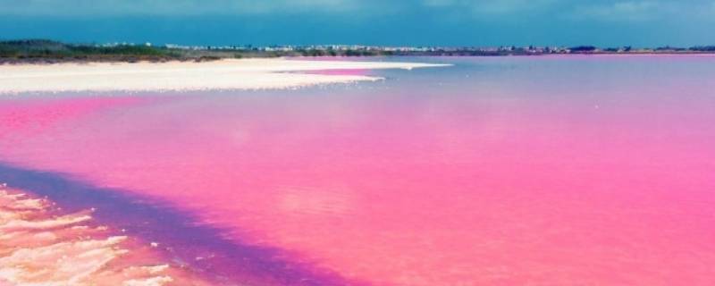 人工粉色沙滩是怎么形成的 粉色沙滩形成的原因