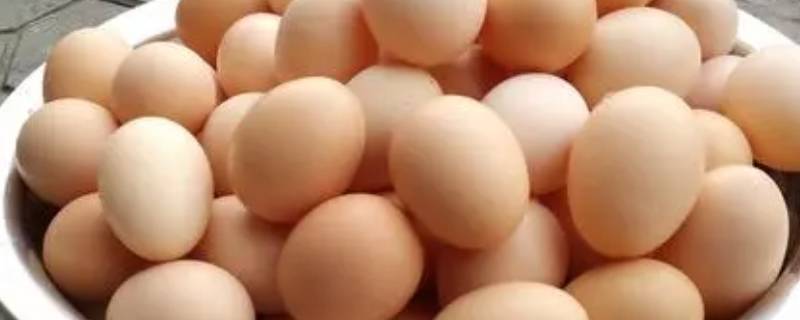 夏天4种方法保存鸡蛋（夏天保存鸡蛋的方法）