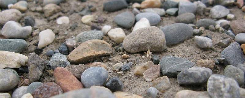 海边透明的石头是玉吗（海边小石头有玉石吗?）