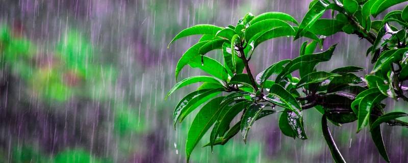 杭州梅雨季节是几月份到几月份结束（杭州梅雨季节是什么时间）