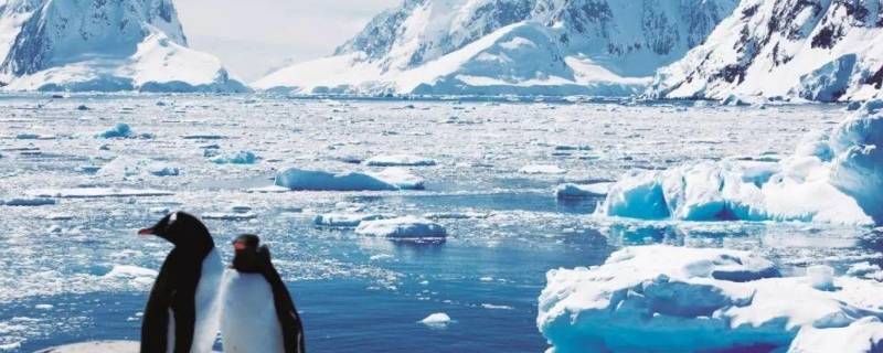 南极可能会遇到的危险有哪些 南极可能会遇到的危险有哪些真么解决
