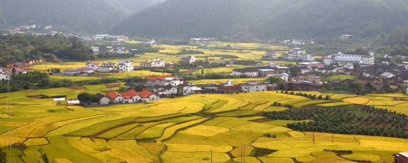 蕉岭县景点（蕉岭县景点图片）