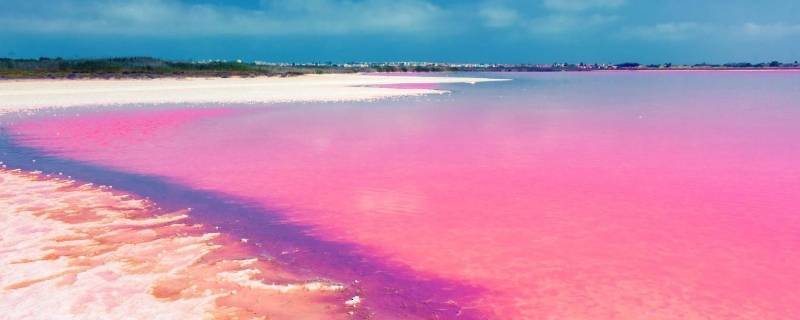 粉色沙滩是怎么形成的（粉色沙滩是什么）