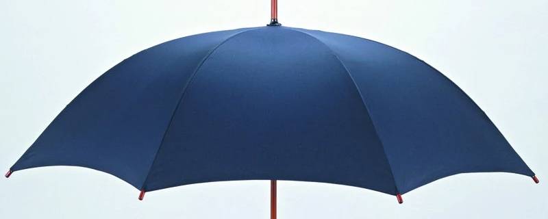 雨伞结构（雨伞结构图解）
