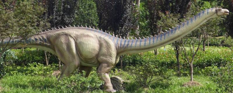 白垩纪恐龙有哪些（侏罗纪恐龙有哪些）