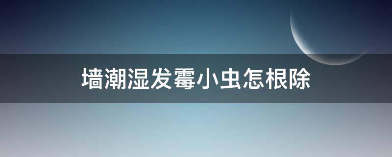 墙潮湿发霉小虫怎根除（墙潮湿发霉小虫怎根除图片）