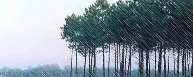 下雨前自然界有哪些现象 下雨前的自然现象