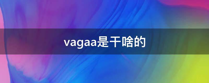 vagaa是干啥的 vagaa是干什么的