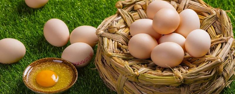 鸡蛋里的白色絮状物是什么 鸡蛋清中的白色絮状物