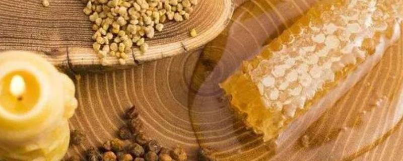 没有处理的蜂胶怎么吃 未经加工的天然蜂胶怎么吃