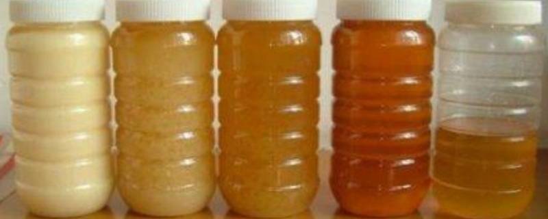 蜂蜜应该怎样保存 蜂蜜应该怎样保存,请写出注意事项