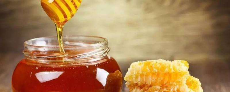 蜂蜜和蜂王浆有什么区别（蜂王蜜和蜂王浆的区别）