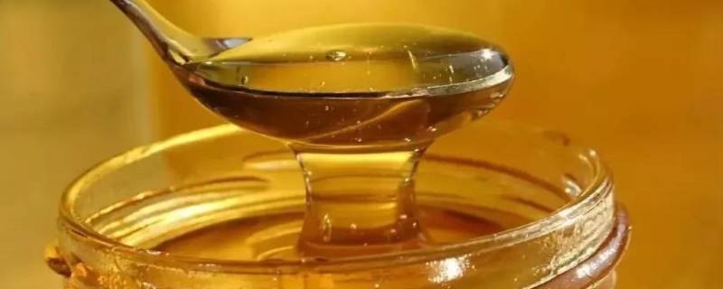 土蜂蜜口感有点酸对吗 土蜂蜜为什么发酸