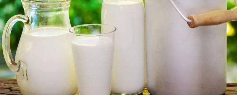 牛奶是什么 牛奶是什么性质的食物