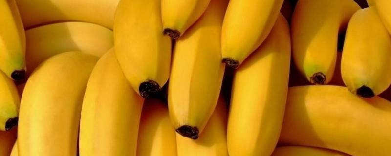 香蕉催熟到底要密封还是通风 香蕉是密封还是通风熟的快