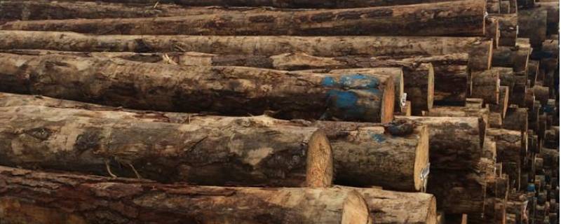 木头防腐处理的方法 木质怎么做防腐处理
