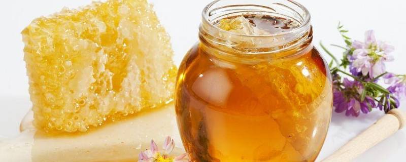生蜂蜜能直接食用吗 生蜂蜜的食用方法