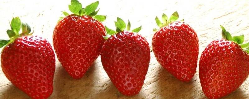 草莓营养（草莓营养价值）