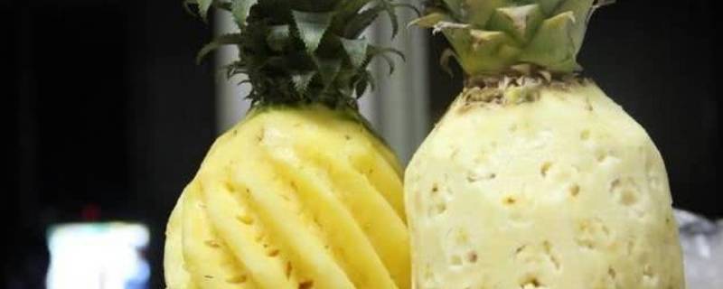 凤梨和菠萝怎么区分 怎样区分凤梨和菠萝