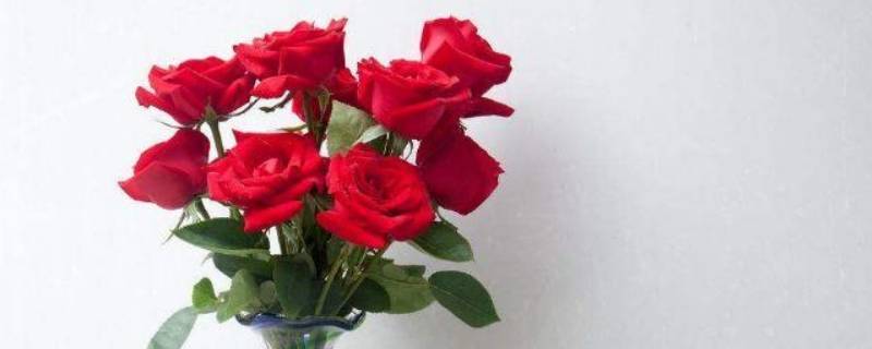 花束可以保存几天 玫瑰花束可以保存几天