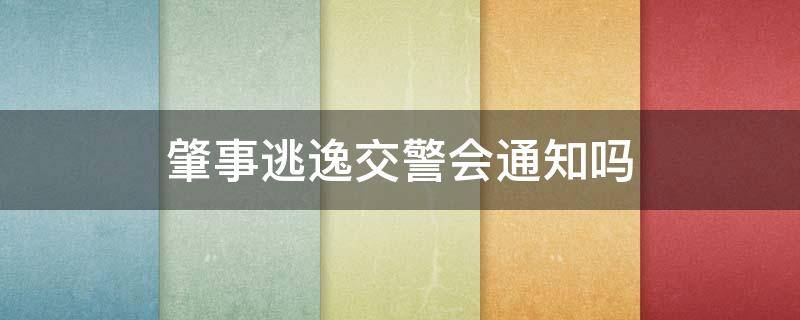 肇事逃逸交警会通知吗（交警多久会通知你肇事逃逸）