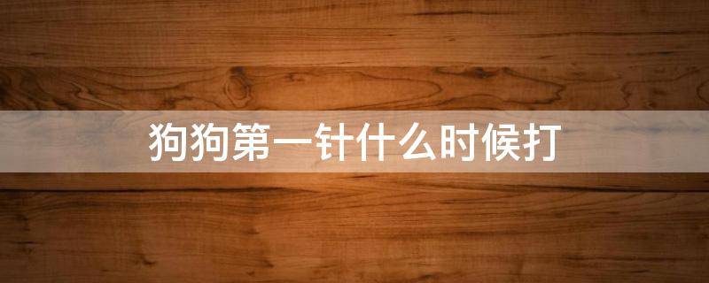 狗狗第一针什么时候打 小狗多长时间打第一针