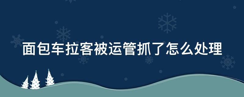 面包车拉客被运管抓了怎么处理（对客运面包车拉货怎么处理）