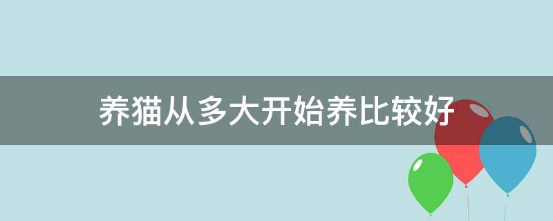 养猫从多大开始养比较好（养猫多大合适）