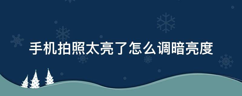 手机拍照太亮了怎么调暗亮度 手机拍照时太暗怎样调亮