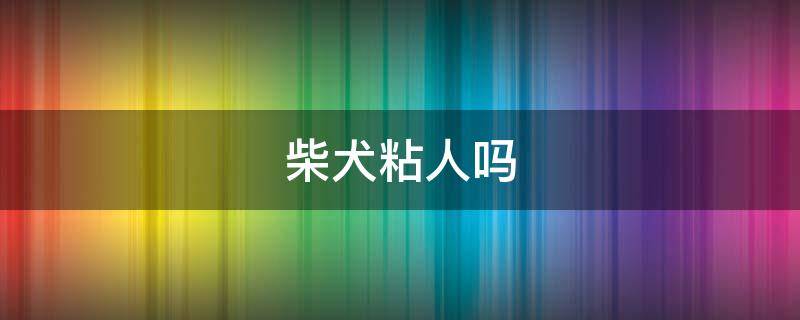 柴犬粘人吗 柴犬不粘人怎么回事